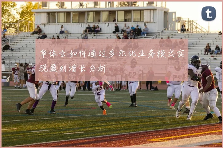 华体会如何通过多元化业务模式实现盈利增长分析