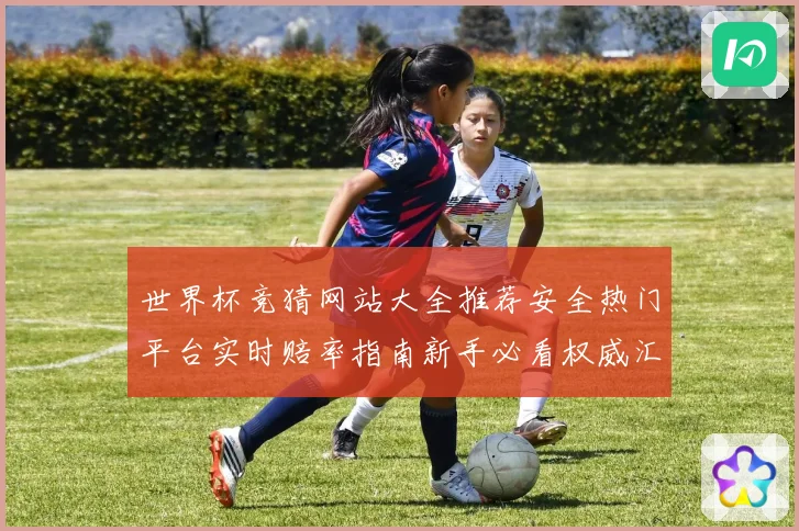 世界杯竞猜网站大全推荐安全热门平台实时赔率指南新手必看权威汇总