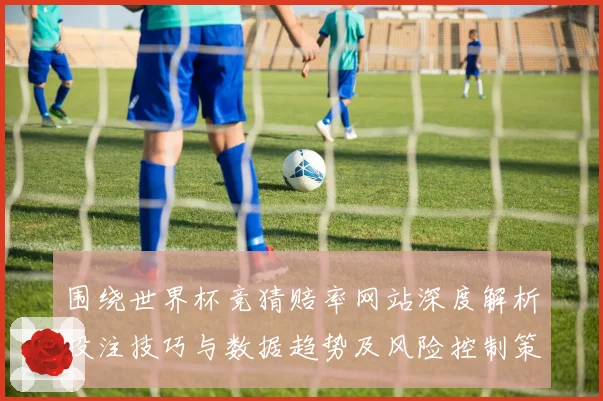 围绕世界杯竞猜赔率网站深度解析投注技巧与数据趋势及风险控制策略