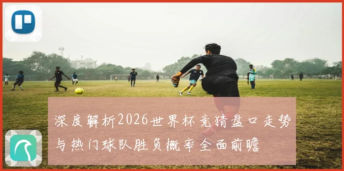 深度解析2026世界杯竞猜盘口走势与热门球队胜负概率全面前瞻