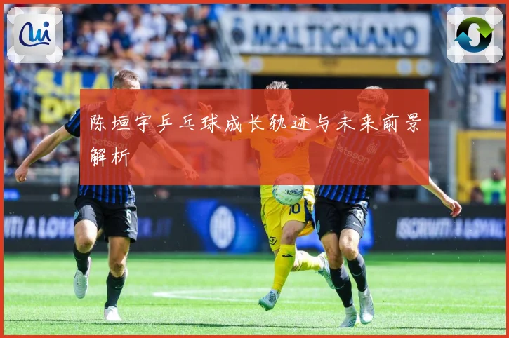陈垣宇乒乓球成长轨迹与未来前景解析