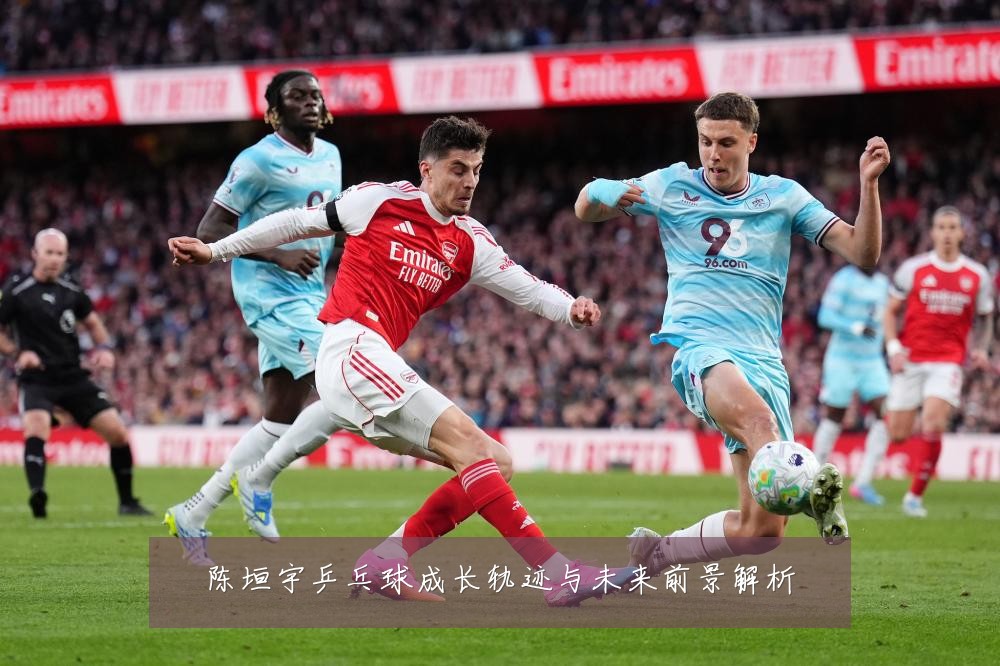 陈垣宇乒乓球成长轨迹与未来前景解析