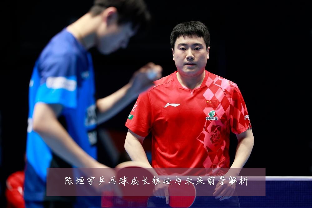 陈垣宇乒乓球成长轨迹与未来前景解析